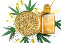 Dutch CBD Company CBD olie: 4x de beste van 2024!
